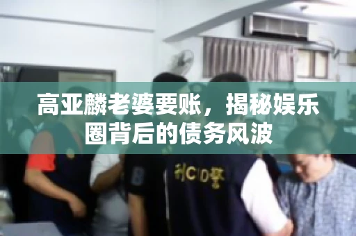 高亚麟老婆要账，揭秘娱乐圈背后的债务风波