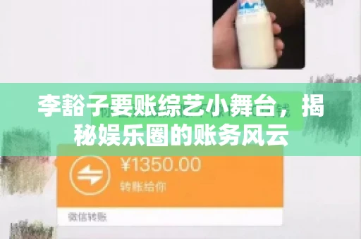 李豁子要账综艺小舞台，揭秘娱乐圈的账务风云