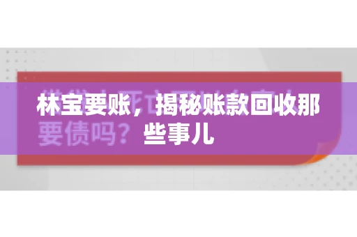 林宝要账，揭秘账款回收那些事儿