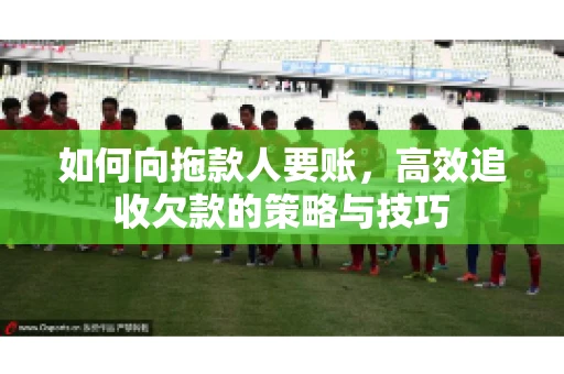 如何向拖款人要账，高效追收欠款的策略与技巧