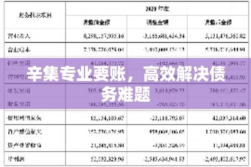 辛集专业要账，高效解决债务难题