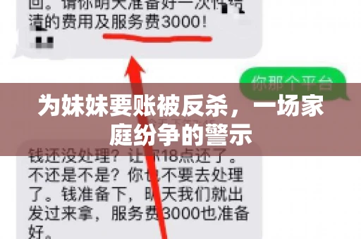 为妹妹要账被反杀，一场家庭纷争的警示