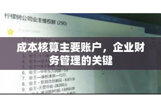 成本核算主要账户，企业财务管理的关键