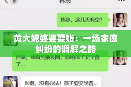 黄大妮婆婆要账：一场家庭纠纷的调解之路