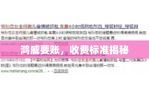 鸿威要账，收费标准揭秘