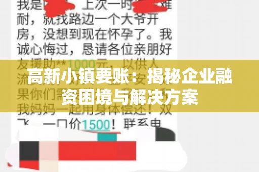 高新小镇要账：揭秘企业融资困境与解决方案