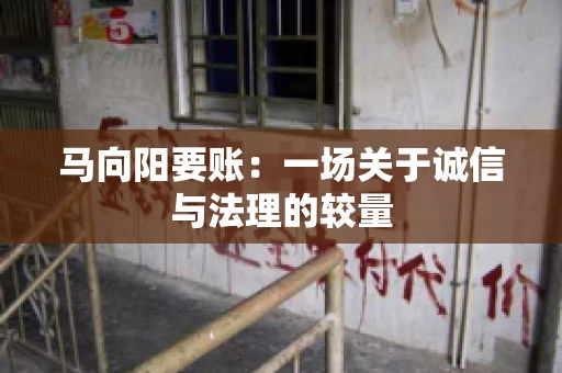 马向阳要账：一场关于诚信与法理的较量