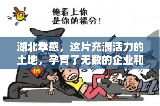 湖北孝感，这片充满活力的土地，孕育了无数的企业和创业者。在这片热土上，有一群人，他们专注于解决企业间的债务问题，他们就是孝感地区的要账公司。今天，我们就来聊聊这些默默无闻的英雄们，看看他们是如何在孝感这片热土上，用专业和热情为企业保驾护航的。