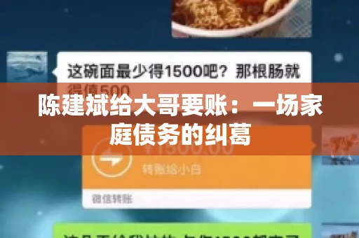 陈建斌给大哥要账：一场家庭债务的纠葛