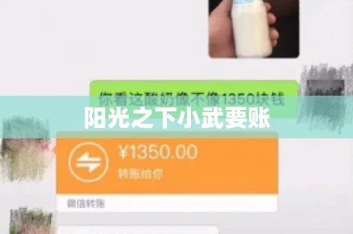 阳光之下小武要账