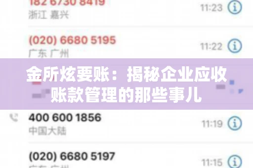 金所炫要账：揭秘企业应收账款管理的那些事儿