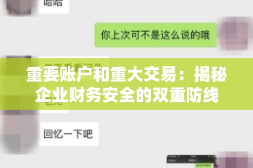重要账户和重大交易：揭秘企业财务安全的双重防线
