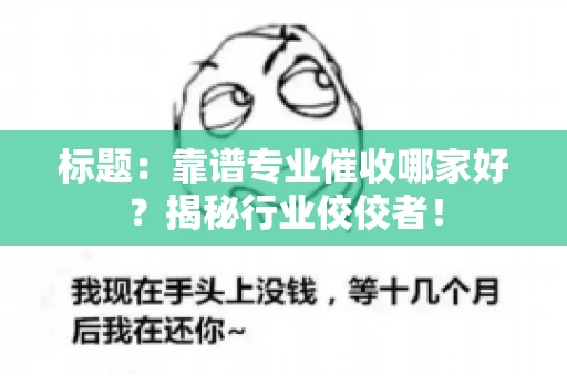 标题：靠谱专业催收哪家好？揭秘行业佼佼者！