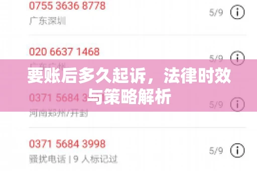 要账后多久起诉，法律时效与策略解析