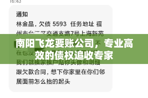 南阳飞龙要账公司，专业高效的债权追收专家