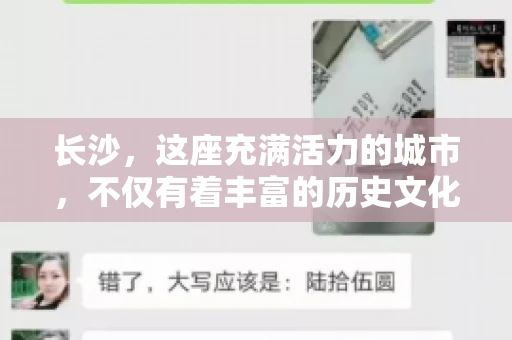 长沙，这座充满活力的城市，不仅有着丰富的历史文化，还有着众多服务于金融行业的催收公司。今天，我们就来聊聊长沙所有的催收公司，看看这些公司是如何在法律框架内，为金融行业保驾护航的。