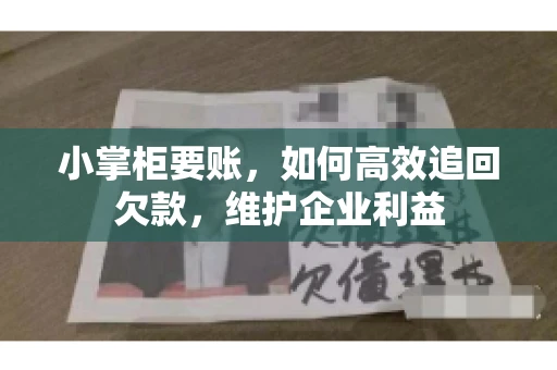 小掌柜要账，如何高效追回欠款，维护企业利益
