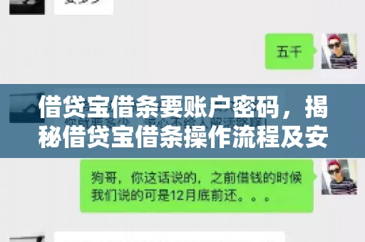 借贷宝借条要账户密码，揭秘借贷宝借条操作流程及安全防护