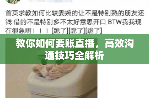 教你如何要账直播，高效沟通技巧全解析