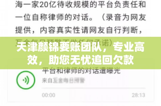 天津颜锦要账团队，专业高效，助您无忧追回欠款