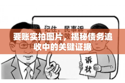 要账实拍图片，揭秘债务追收中的关键证据