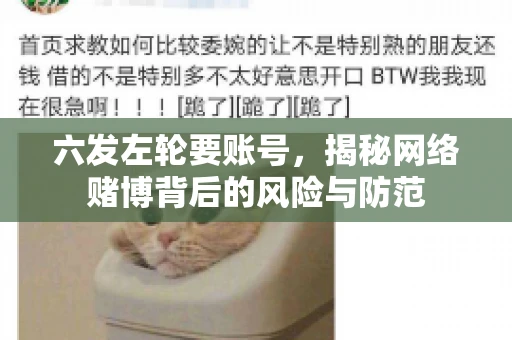 六发左轮要账号，揭秘网络赌博背后的风险与防范