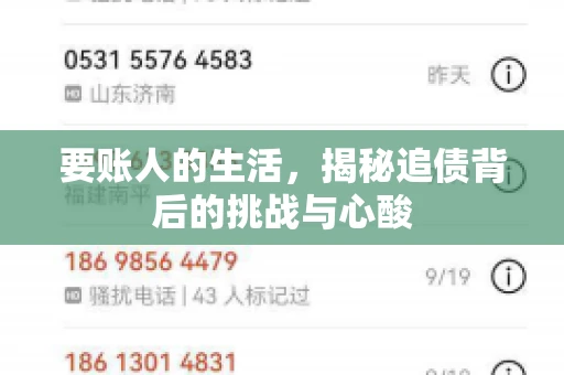 要账人的生活，揭秘追债背后的挑战与心酸